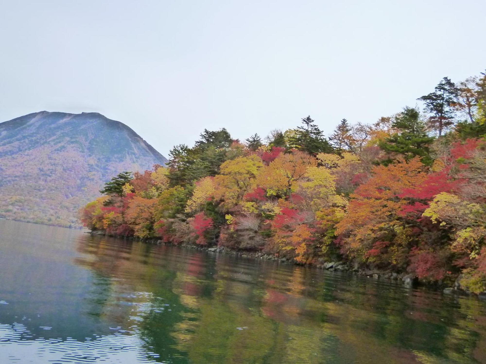 Little Forest Inn Nikko Εξωτερικό φωτογραφία