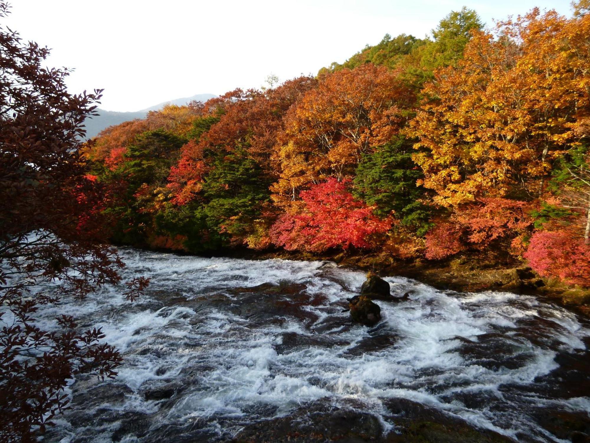 Little Forest Inn Nikko Εξωτερικό φωτογραφία