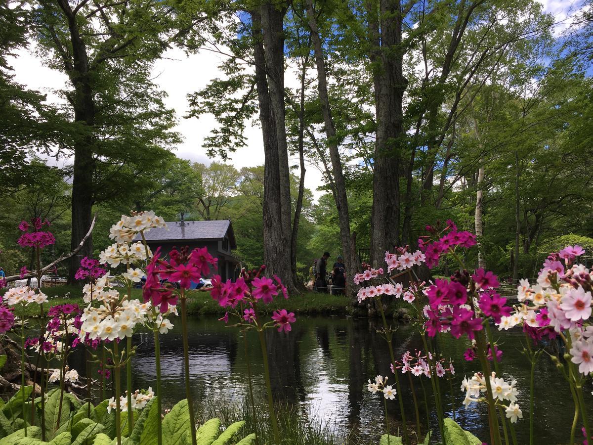 Little Forest Inn Nikko Εξωτερικό φωτογραφία